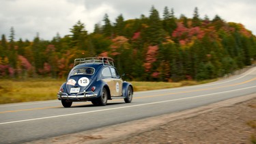 Classic VW Beetle following Highway 60 through Algonquin Park on the Maple Mille rally.