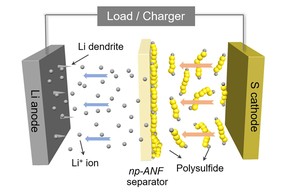 Ein Diagramm der Membran in der Lithium-Schwefel-Batterie des Kotov Lab.