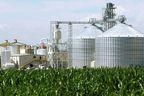US-Ethanol auf Maisbasis schlechter für das Klima als Gas: Studie