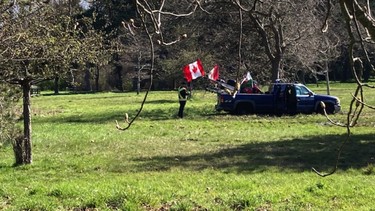 A protester's pickup truck is towed from the wet grass of Beacon Hill Park, Victoria.