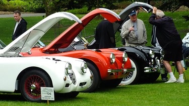 A row of classic Jaguars at the All-British Field Meet a few years ago.