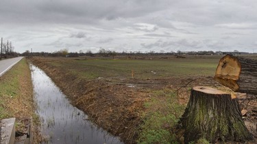 Trees are cleared at the site of the future battery plant, on E.C. Row Avenue East and Banwell Road, on Monday, April 25, 2022.