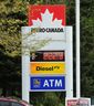 6 BC Roadtrips in der Nähe von Vancouver können Sie für weniger als zwei Tankfüllungen genießen