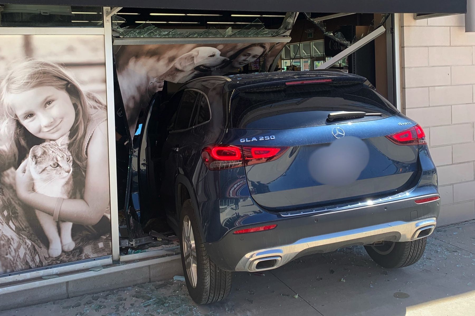 Mercedes driver crashes into Haltonarea pet food store Driving