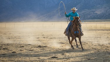 A cowboy with a lasso, riding on a horse