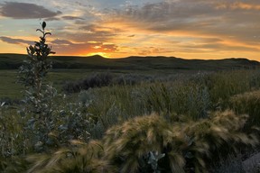 Grasslands National Park, Saskatchewan