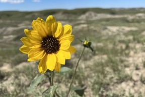 Grasslands National Park, Saskatchewan