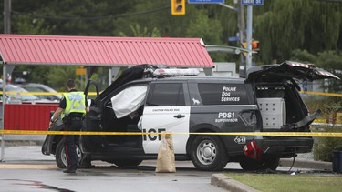 Toronto Police investigate after a Police Dog Service supervisor's SUV - with two dogs in the rear of it was stolen by a suspect at a retail break-and-enter at Yonge St. and Lawrence Ave. at 4:20 a.m. The suspect fled in the vehicle crashing it 12.5 kms west at Keefe St. and Lawrence Ave. West. on Monday August 8, 2022.