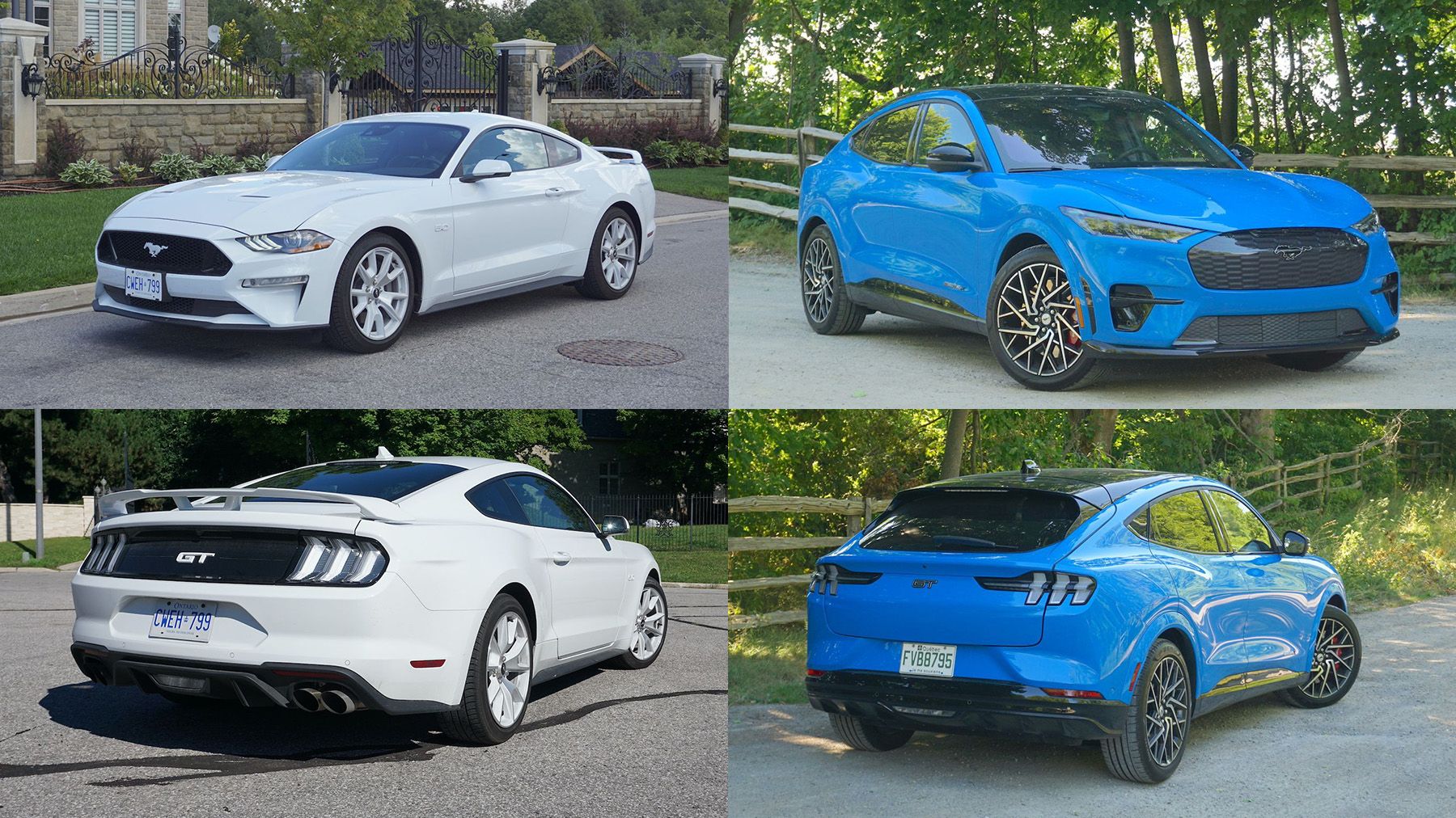 Ford Mustang GT or Mustang Mach-E GT: Which model and trim to buy