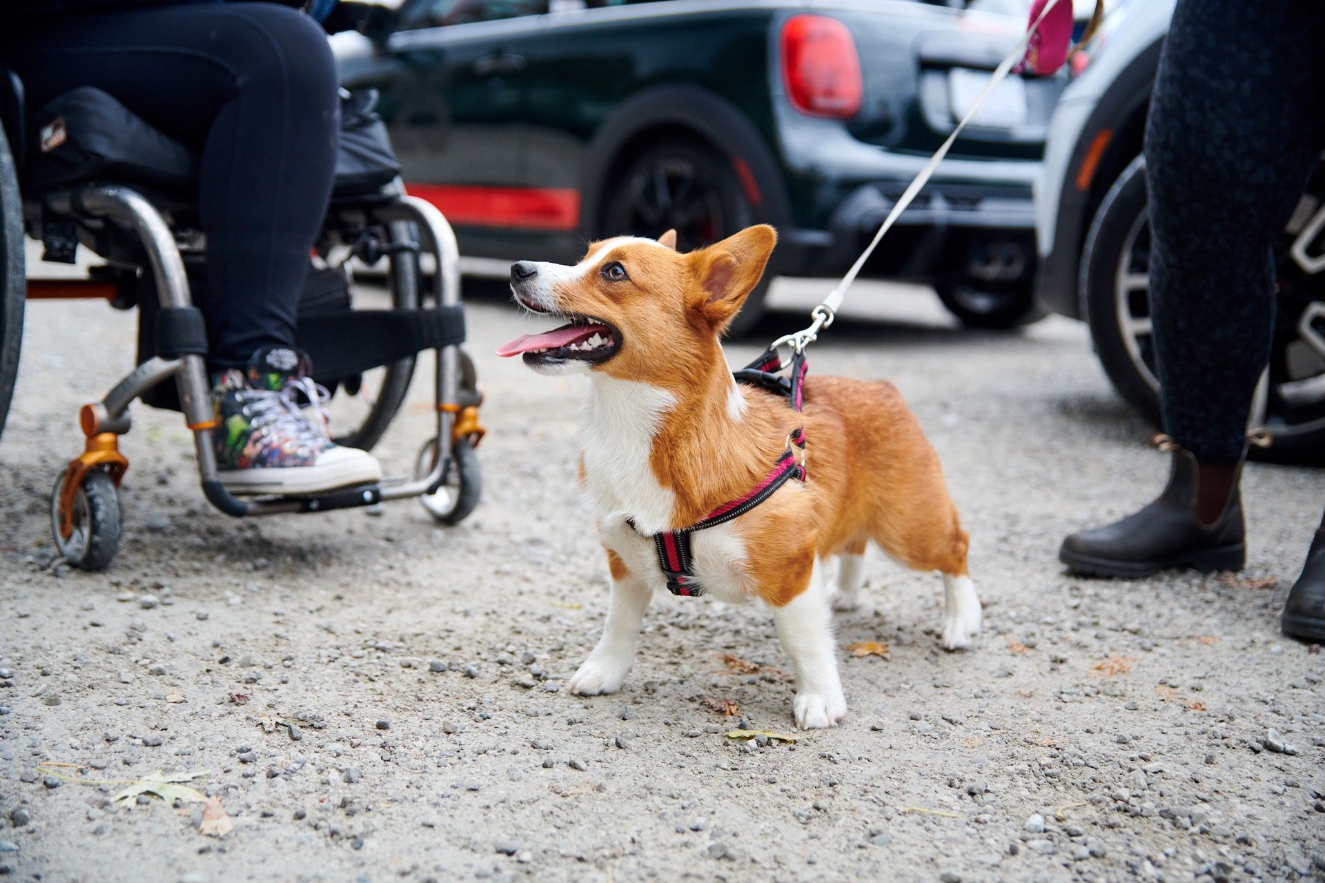 Southern Ontario Mini Club Fall Rattler 2022