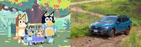 Bluey Subaru Outback