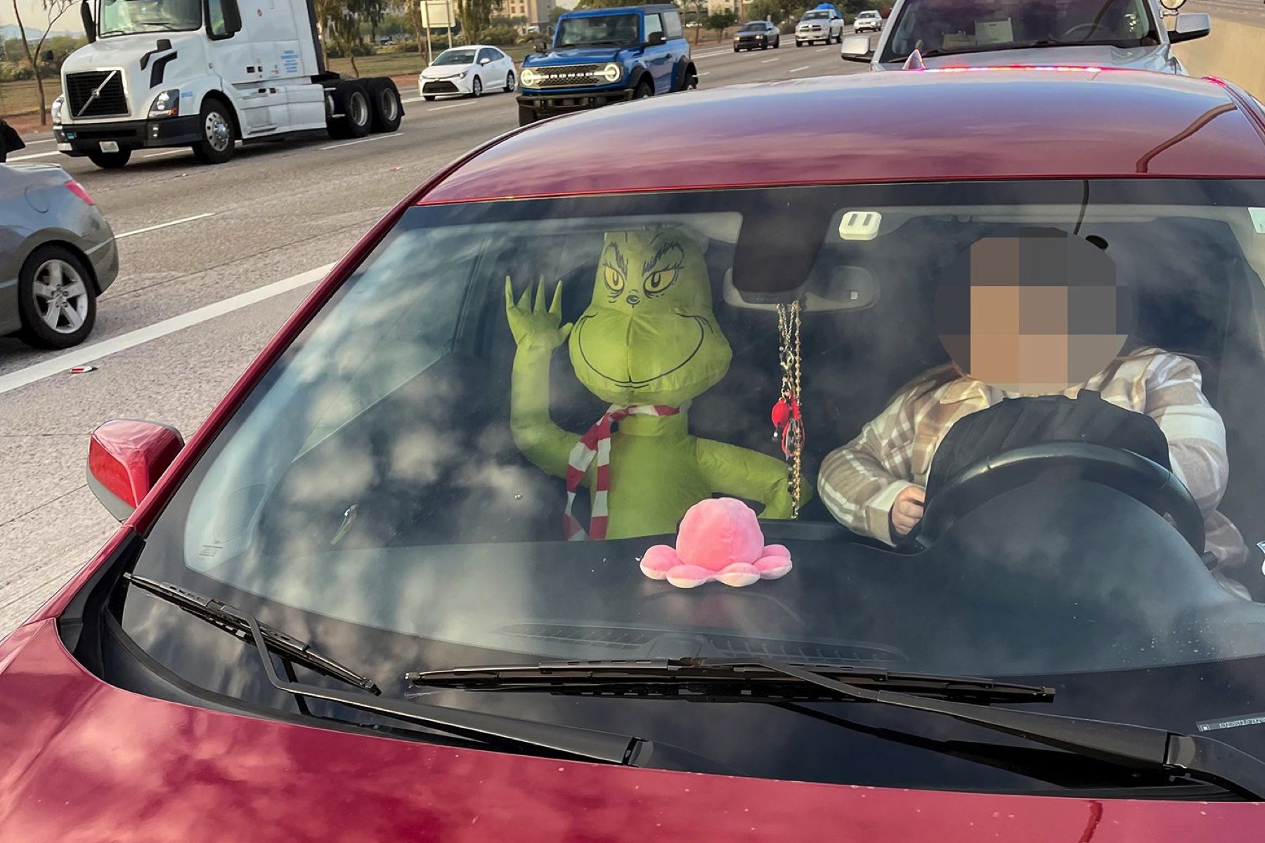 Arizona driver caught in HOV lane with Grinch doll passenger Driving
