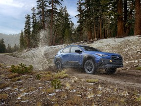 2024 Subaru Crosstrek Wilderness