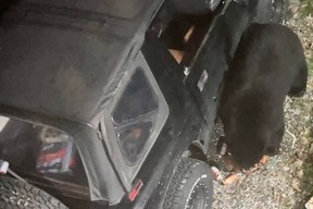 Sharon Rosel's Chevrolet Tracker being attacked by a black bear in B.C.