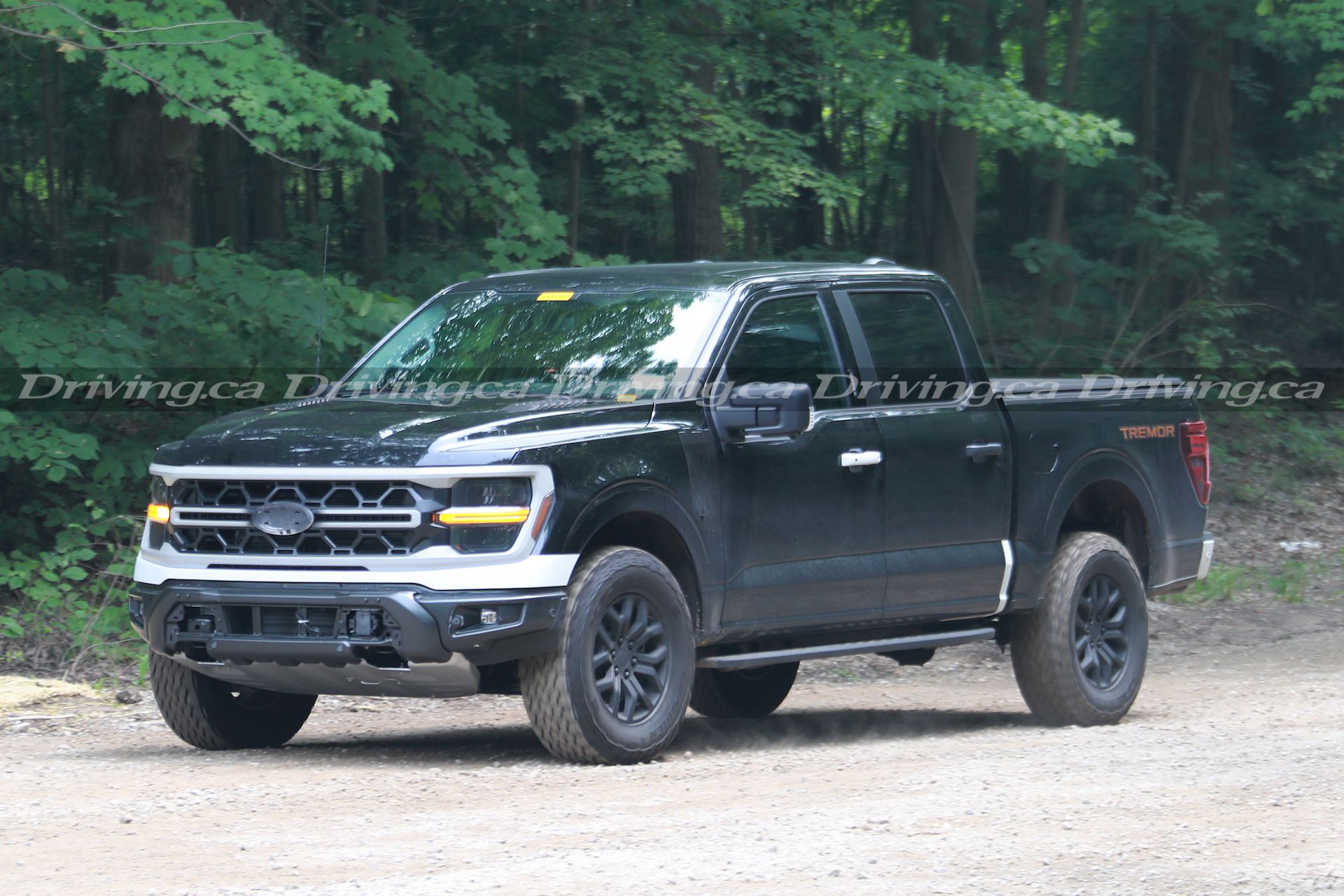 The 2024 Ford F150 Tremor looks like it'll get some upgrades Flipboard