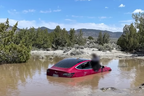 Tesla using Full Self Driving ends up sunk in huge puddle