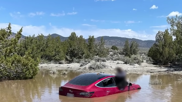 A screenshot from a Wham Baam Teslacam video depicting Tesla Model 3 driver "Ryan" in his car in a puddle in California