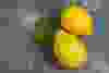 A pair of bright yellow lemons