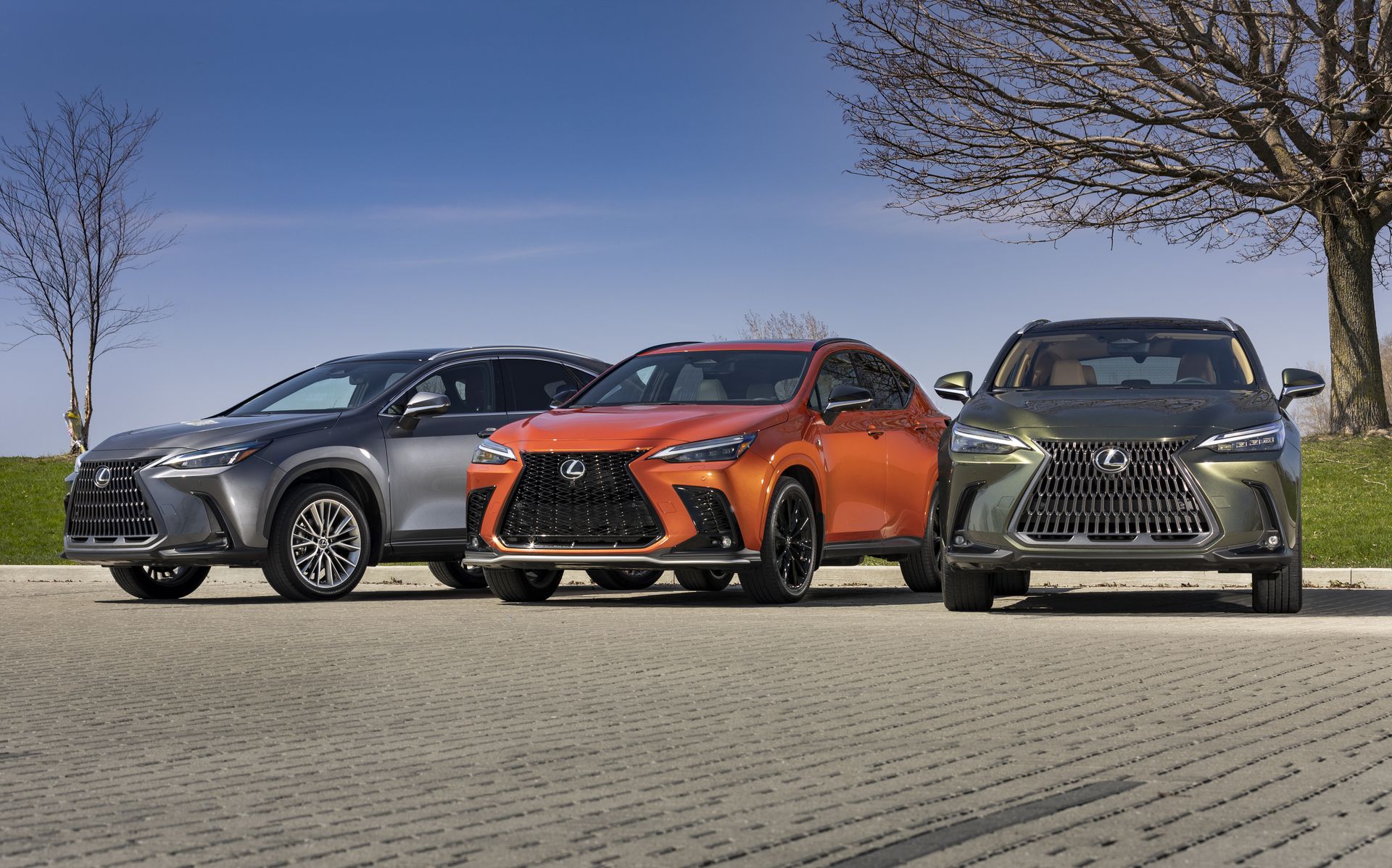 Lexus announces Canadian pricing for the 2025 NX series Driving