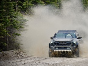 2025 Toyota Tacoma