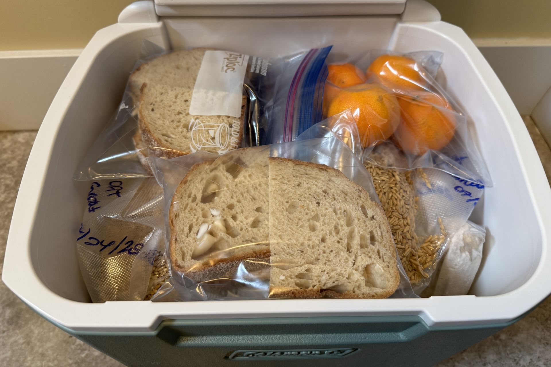 Road trip essentials