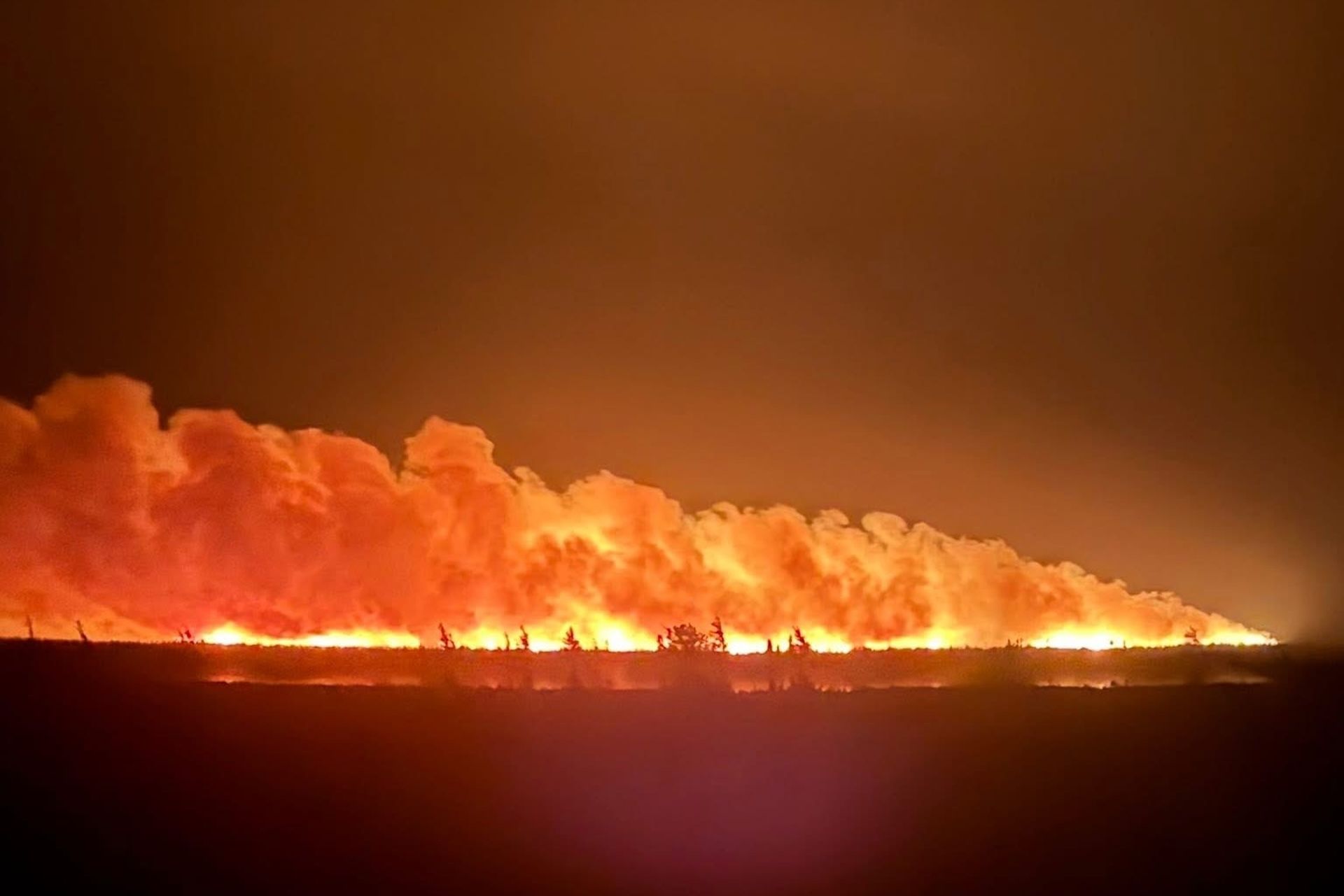 Newfoundland wildfire, 2025