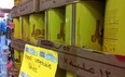 Vegetable ghee on sale at the Elsafadi Supermarket at 134th Avenue and 113th Street. Photo by Elise Stolte / Edmonton Journal