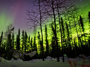 The northern lights flame above one of the 10-man military tents hidded in the woods. Photo by Ryan Jackson / Edmonton Journal