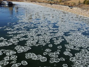 The first ice on the river in Edmonton, always a conversation piece when you see it. Photo by Candace Elliot/Edmonton Journal
