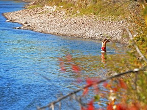 A woman takes a dip in the North Saskatchewan River Sept. 17, 2012, near Hawrelak Park. (Shaughn Butts/Edmonton Journal)