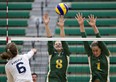 The Pandas volleyball squad plays host to the Manitoba Bisons this weekend in Canada West quarterfinal action. JASON FRANSON/EDMONTON JOURNAL.