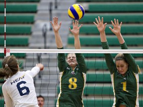 The Pandas volleyball squad plays host to the Manitoba Bisons this weekend in Canada West quarterfinal action. JASON FRANSON/EDMONTON JOURNAL.