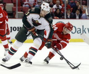 DUANE BURLESON, THE ASSOCIATED PRESS, FILE

Detroit Red Wings forward Gustav Nyquist tries to knock the puck away from Minnesota Wild right winger Dany Heatley during an NHL game at Detroit on March 20, 2013.