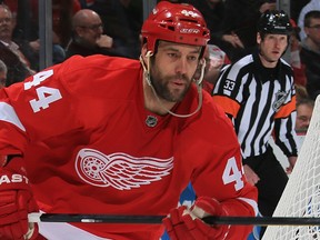 Detroit Red Wings winger Todd Bertuzzi in action at the beginning of the lockout-shortened 2013 NHL season at the Joe Louis Arena Jan. 25, 2013, against the Minnesota Wild. Bertuzzi will return to the ice for the first time in three months in the Red Wings' series against the Anaheim Ducks. Photo by David Reginek, Getty Images