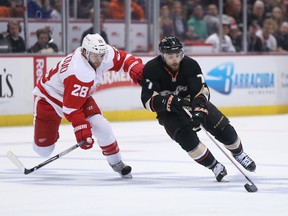 Carlo Colaiacovo battles Andrew Cogliano during the 2013 playoffs (Photo: Jeff Gross/Getty Images)