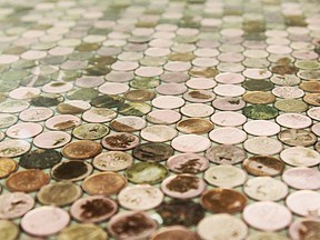 2013.08.28 pennies (1)