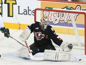 Everett Silvertips forward Jujhar Khaira, left, looks for the puck as Calgary Hitmen goalie Chris Driedger reaches for it during their WHL game at the Saddledome in Calgary on Nov. 23, 2013.