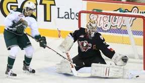 Everett Silvertips forward Jujhar Khaira, left, looks for the puck as Calgary Hitmen goalie Chris Driedger reaches for it during their WHL game at the Saddledome in Calgary on Nov. 23, 2013.