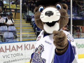 Marty the Marmot