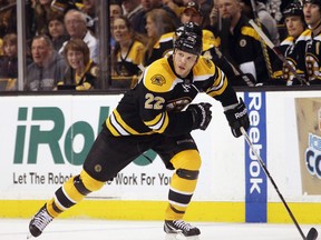 Shawn Thornton (Photo: Bruce Bennett/Getty Images)