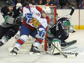 Edmonton Oil Kings forward Luke Bertolucci tries to score on Seattle Thunderbirds  goalie Danny Mumaugh Saturday, Jan. 4, 2014, at Rexall Place in Edmonton.