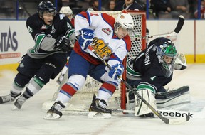 Edmonton Oil Kings forward Luke Bertolucci tries to score on Seattle Thunderbirds  goalie Danny Mumaugh Saturday, Jan. 4, 2014, at Rexall Place in Edmonton.