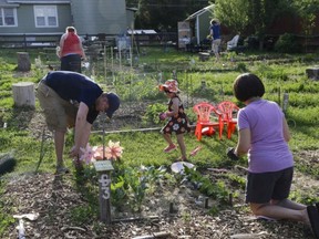 The Edmonton Food Council is hosting a panel discussion on community gardens.