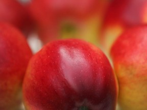 The fall apple crop is good excuse for a tasting at the French Quarter Farmers Market.