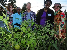 Members of the Westend Food Hub Alliance are looking for ways to increase access to healthy food in the west end of Edmonton.