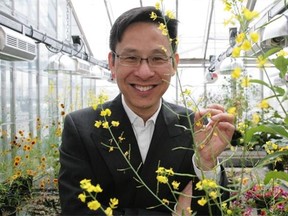 Alberta researcher Dr. Gane Ka-Shu Wong is leading the Alberta 1000 Plants Initiative, an international project focused on finding new genomic information that could lead to new medicines and a range of value-added plant products.