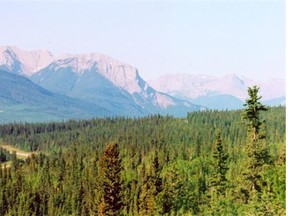 The Bighorn Backcountry, a massive area east of Banff and Jasper national parks, is the main source of Edmonton's drinking water.