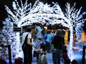 The popular Festival of Trees opens at the Shaw Conference Centre Thursday, Nov. 27.