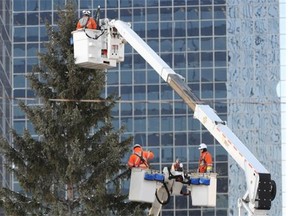 Crews from EPCOR, and with assistance from CLG Displays, were hard a work decorating the big Christmas tree in Churchill Square with more than 14-thousand LED lights, sparklers and snow globes in Edmonton on Wednesday Nov 12, 2014.