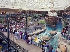 The defining idea that made West Edmonton Mall so different and exotic — the clustering of recreational amenities with stores — has been copied everywhere, and it’s about to be copied and improved upon in Edmonton’s downtown, says columnist David Staples.
